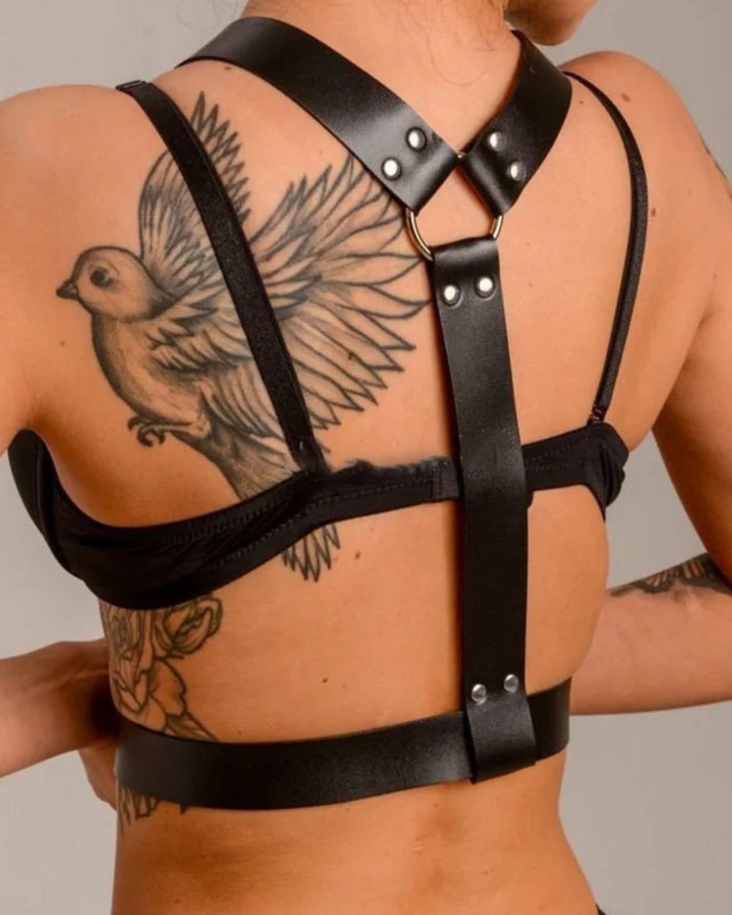 Kožený postroj s kovovými sponami