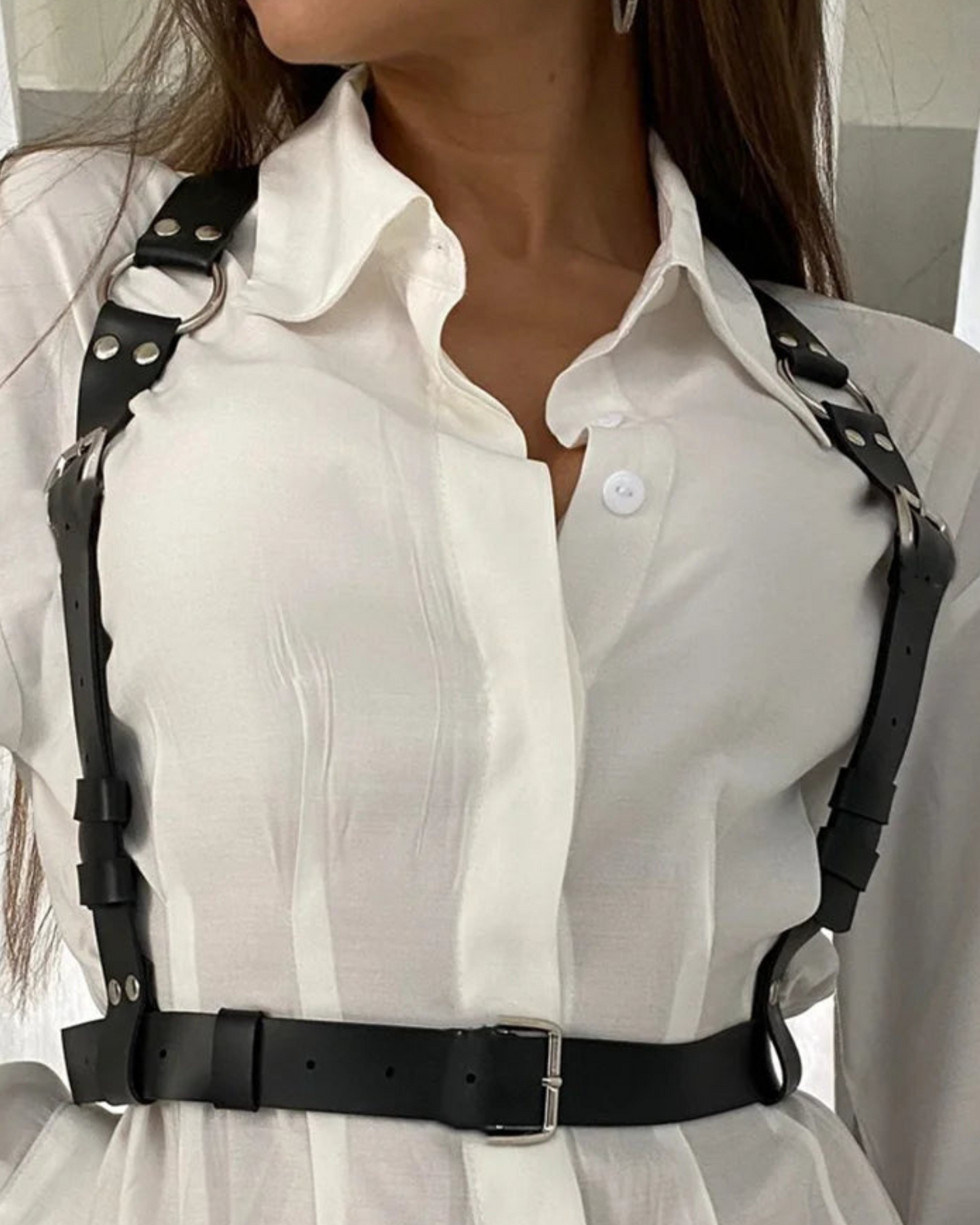 Kožený postroj s kovovými sponami