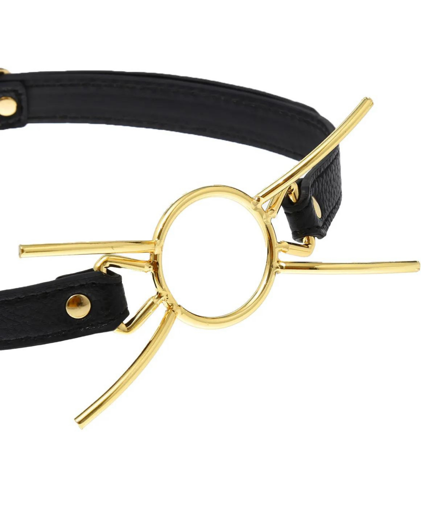 Roubík s nastavitelným popruhem a kovovými prvky