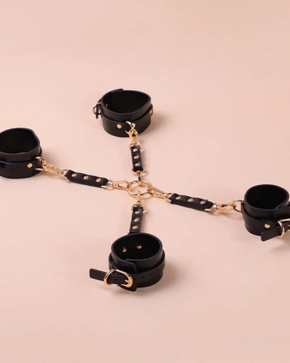 Sada BDSM doplňků s elegantním úložným pouzdrem