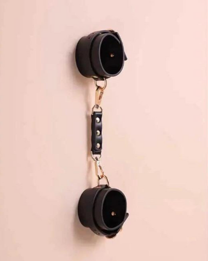 Sada BDSM doplňků s elegantním úložným pouzdrem